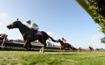 Mid-Atlantic trainers gear up for unusual Saratoga season