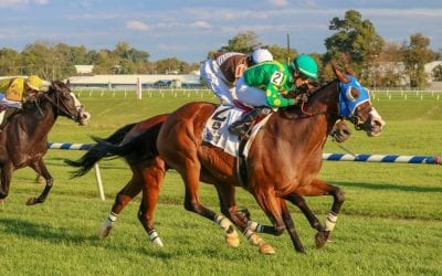 Maryland Million and more: The week in social media