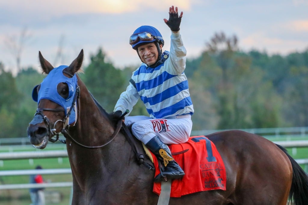 IMG_0497 Saratoga Bob