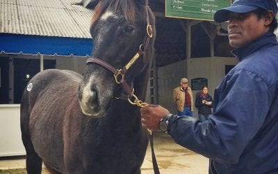 The week in social media: Jan. 22