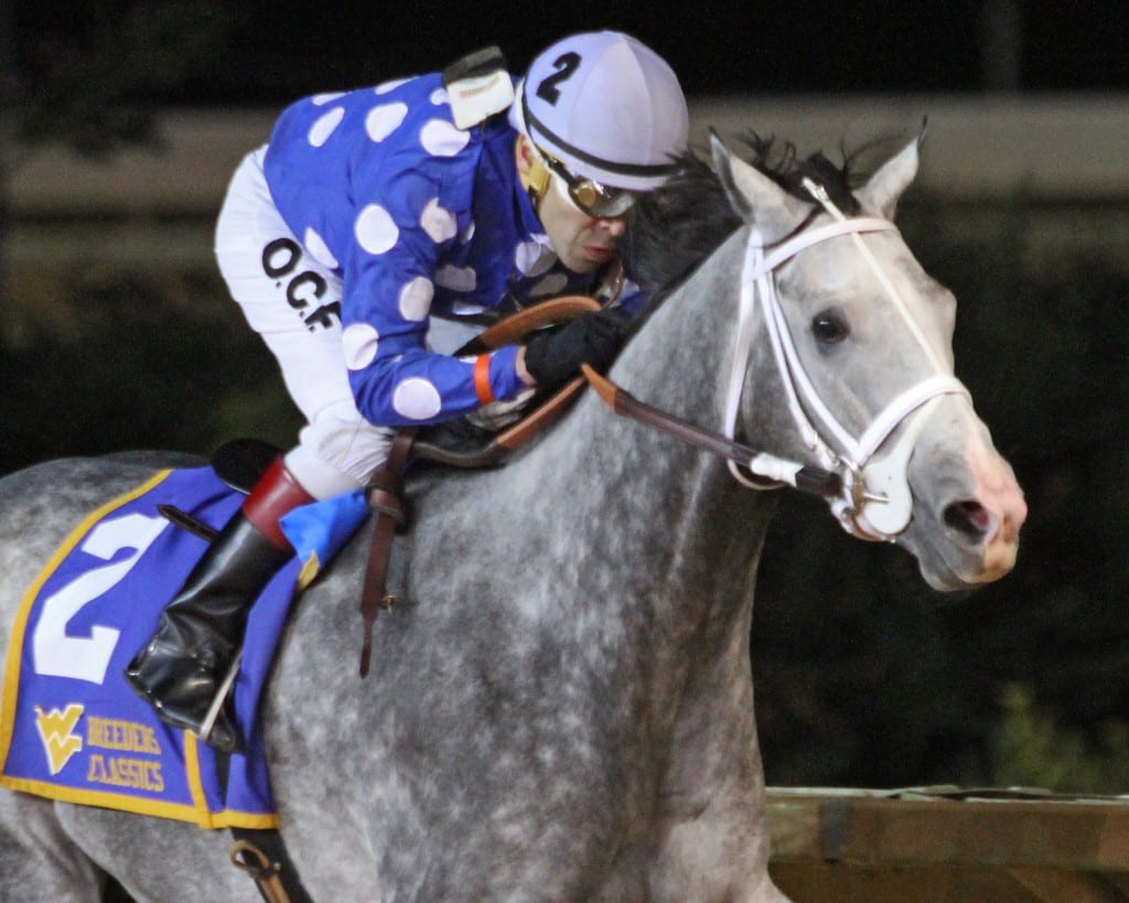 RUNNIN’TOLUVYA – West Virginia Breeders Classic – 10-13-18 – R08 – CT – Finish 2 Runnin'toluvya