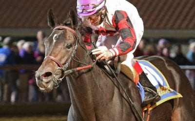 “Why we do this”: Scythe gives Condon first WVBC win