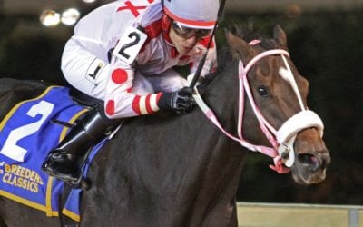 WVBC: Spring Lass surprises for Armstrong’s two-horse stable