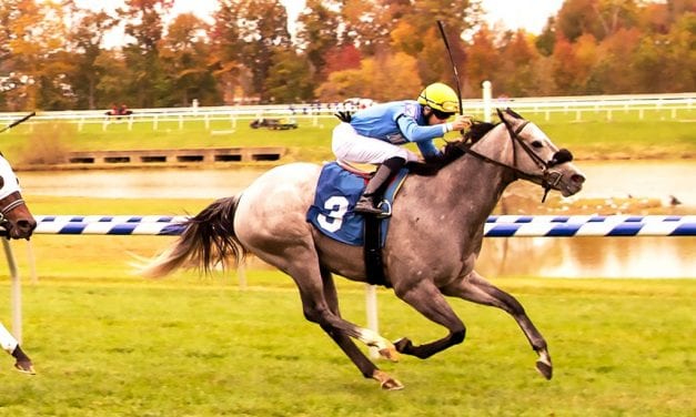 Smokin Nitro fires big to win Laurel Friday feature