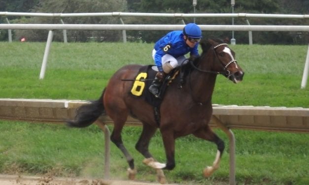 Delaware: Regally bred Alfresco sharp on debut