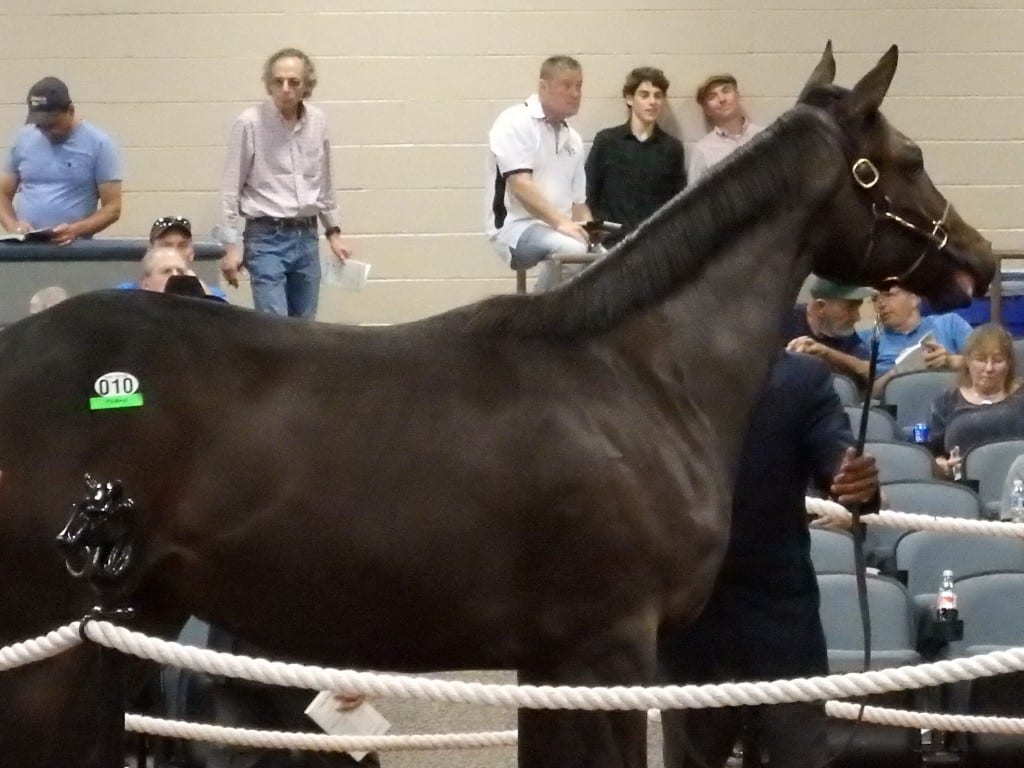 ftoct2018hip10 fasig-tipton