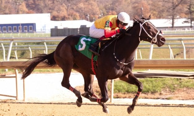 “We’ll be back”: Congrats Gal takes Smart Halo