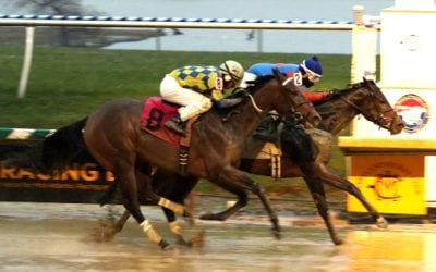 Claimbox: 2018 claiming activity tops $25 million