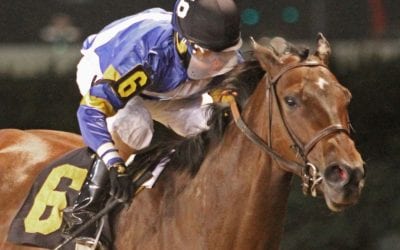 “Crookedest foal” Ava O running on the straight and narrow