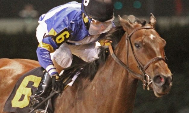 “Crookedest foal” Ava O running on the straight and narrow