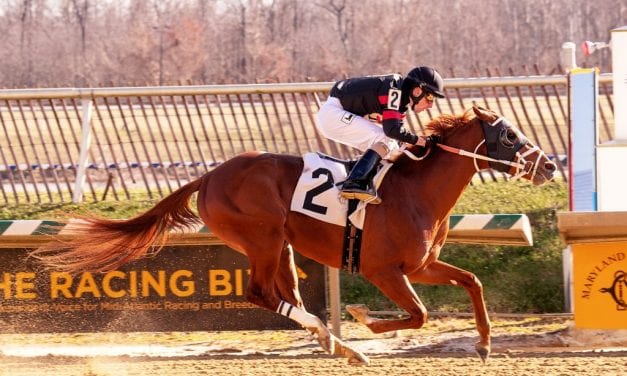 Awesome D J impresses in debut victory