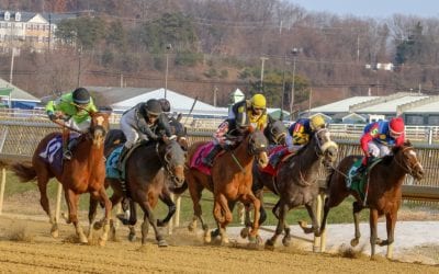 Laurel: Lasix-free baby race draws full field