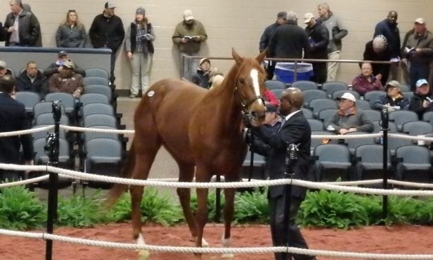 Sales tales: The seller