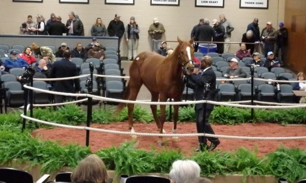 Fasig-Tipton Mixed: Top line numbers dip, but with key bright spots