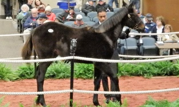 Sales tales: The buyer