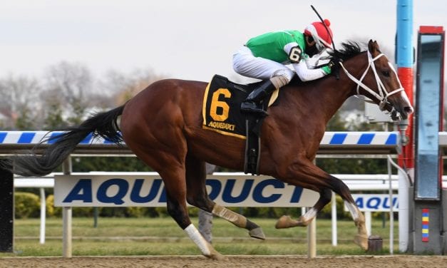 Alex Zacney “hoping to make some memories” with Maximus Mischief