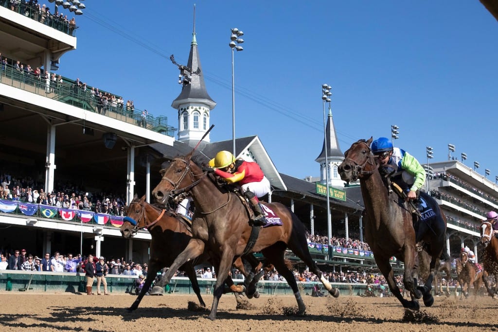 zz181103_eclipsesportswire_alex evers_1892 Shamrock Rose