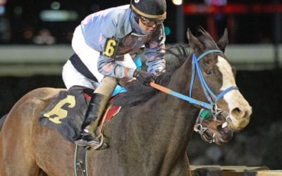 B’s Wild Cork looks to double up in My Sister Pearl