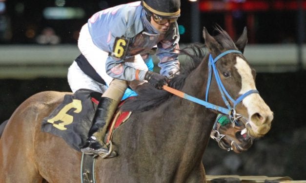 A tale of two fillies: B’s Wild Cork fashions solid ledger