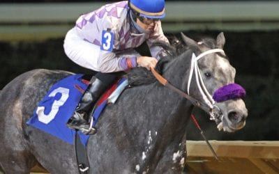 Late-arriving I Know Nothing making up for lost time