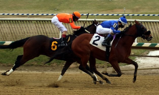 Home Run Maker lives up to name in Fire Plug