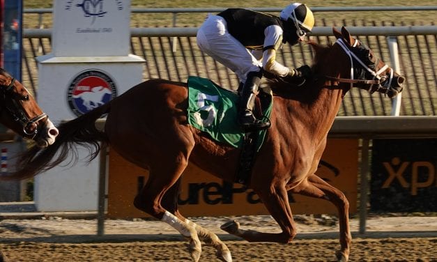 Laurel: News and notes for Jan. 26, 2019