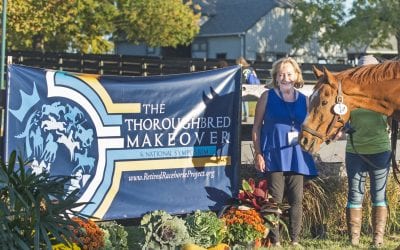 Carolyn Karlson named chair of Retired Racehorse Project