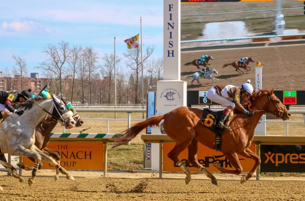 Millionaire Md-bred Cordmaker retired