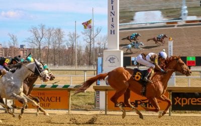 Distance, time have made Cordmaker formidable runner