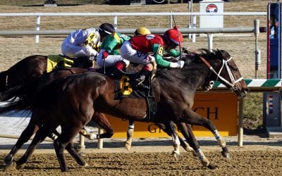 Laurel Park picks and ponderings Mar. 14, 2021