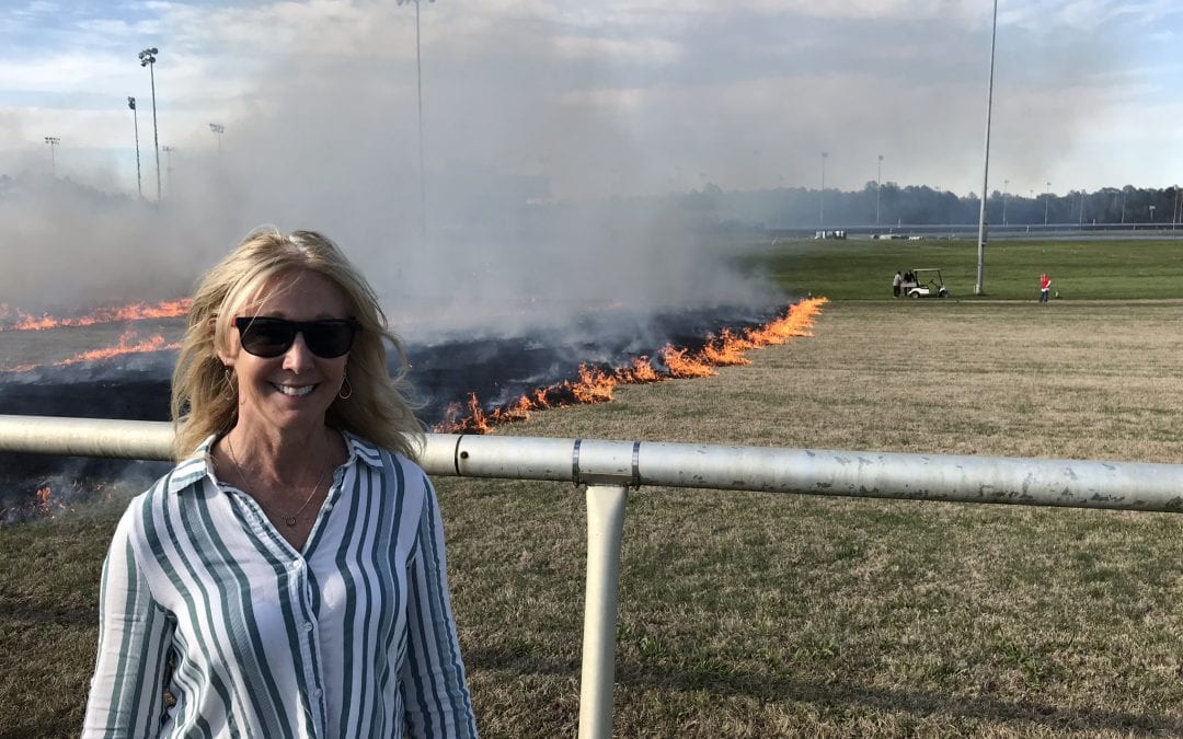 Jill Byrne tabbed as new VTA executive director