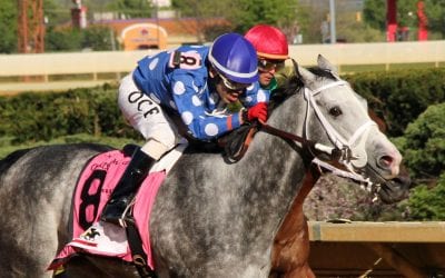 Millionaire Runnin’toluvya retired