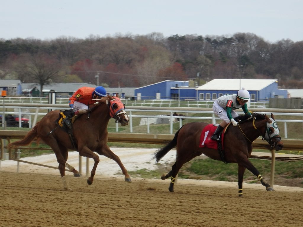 OLYMPUS DIGITAL CAMERA Blameitonthekiss