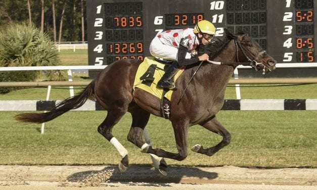 Preakness Profiles: Win Win Win