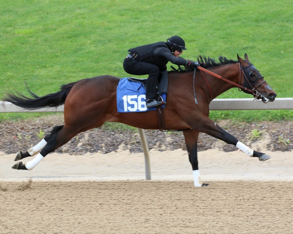 17 Forest Fashion, 17C Street Sense, 19FTMMAY, Hip #156, Timonium–20190514 Hip 156 at Fasig-Tipton Midlantic 2yo in training sale 2019