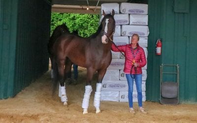 Trainer Mark Casse joins WHOA