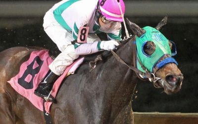 Aaron’s Tap grabs It’s Only Money