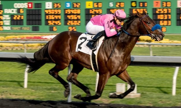 Anothertwistafate posts final work for Preakness