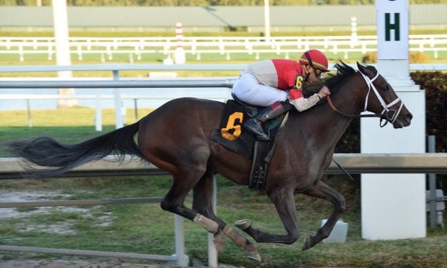 Preakness Profiles: Bourbon War