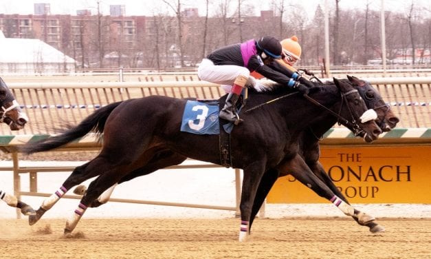 Motion hopes to be Flying the Flag in Pimlico Special