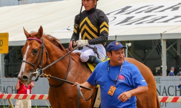 English Bee heads G3 Virginia Derby field