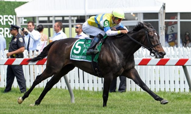 Pimlico undercard stakes results