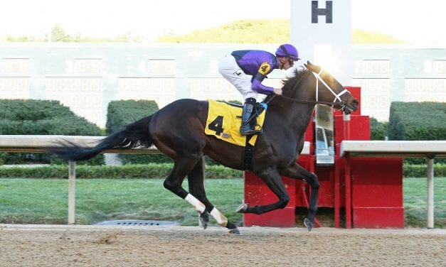Wow! Warrior’s Charge to be supplemented to Preakness