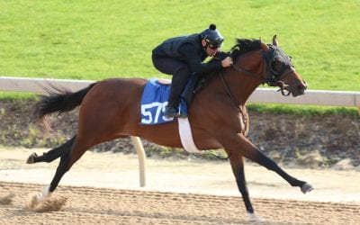 Record-breaking filly powers productive Fasig-Tipton 2yo sale