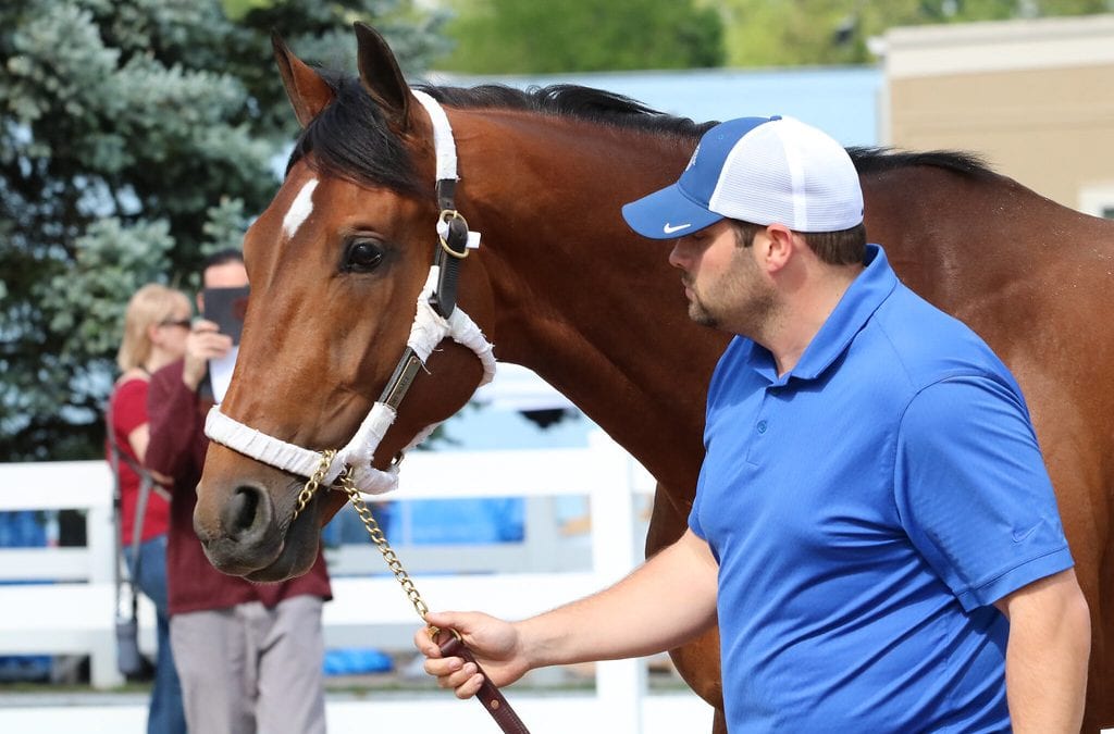 Brad Cox aiming at Virginia Derby weekend