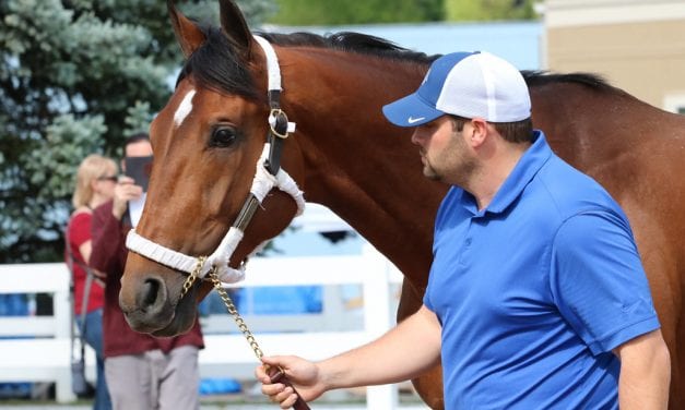 Brad Cox: “We were bringing Owendale regardless of who came”