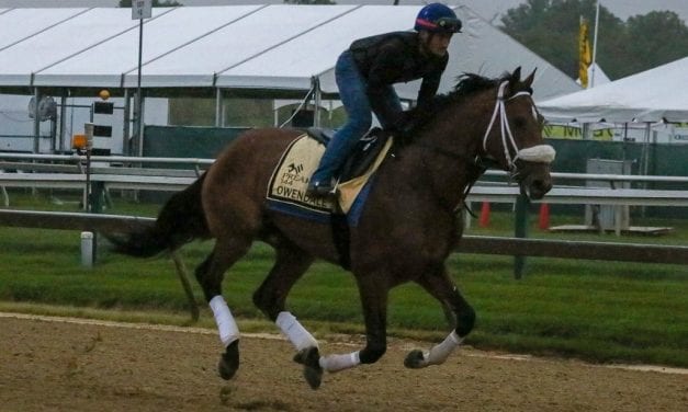 Preakness Profiles: Owendale