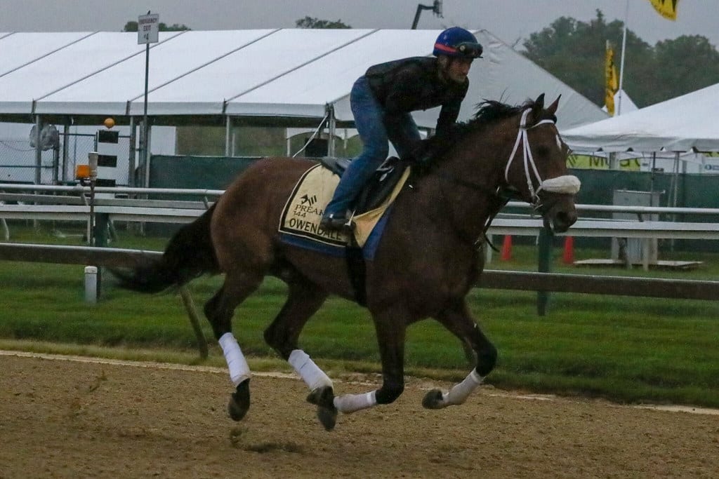 owendalegallops Owendale
