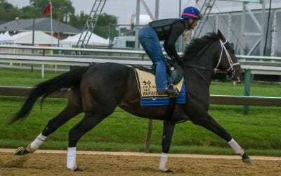 CT: Warrior’s Charge aiming to make ‘Classic’ statement