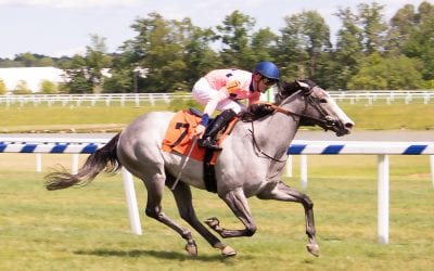 Virginia-breds center stage for Colonial opener